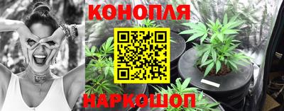 spice Севастополь