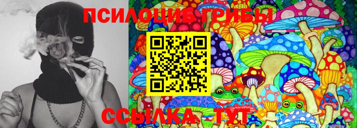 Кунгур  Галлюциногенные грибы мицелий  Вход с VPN 