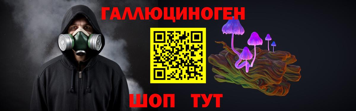 Галлюциногенные грибы Psilocybine cubensis Кунгур